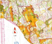070723 O-ringen etp.1 * 2480 x 2144 * (759KB)